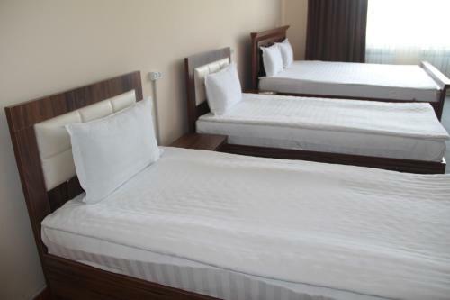 Hotel White Hill House