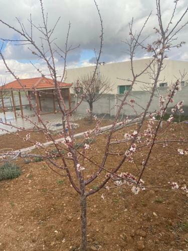 Modern Farm 0798815489
