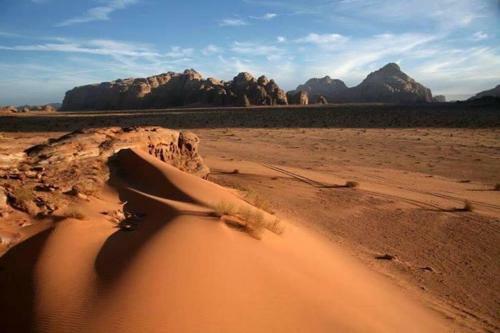 Tours And Bedouin Traditions