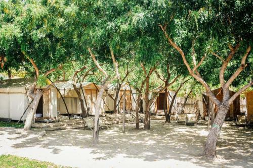 Villa ??o Hoa V�ng Cam Ranh - Venue Travel