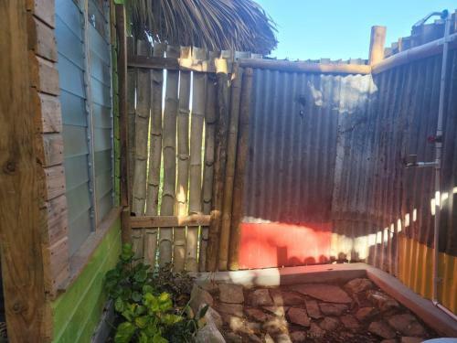 Jamaican Backyard Living