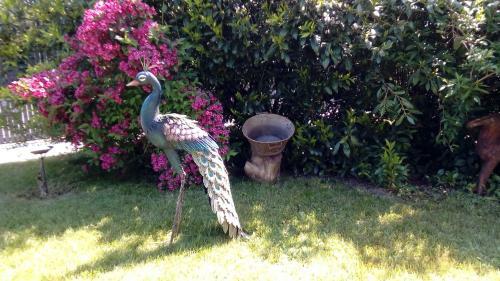 Bed & Breakfast Le Clos Pr�