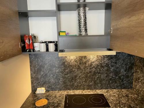 Alvina Comfortable Apartments