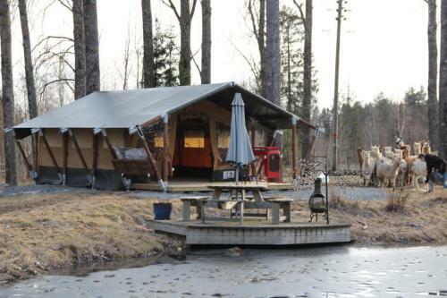 Norr�ngens Alpacka Bed & Breakfast