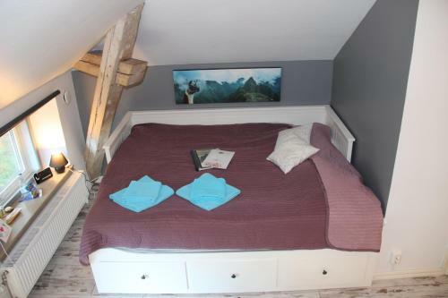 Norr�ngens Alpacka Bed & Breakfast