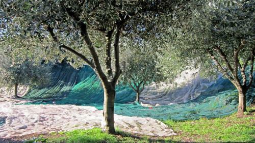 Agroturismo Case Perrotta