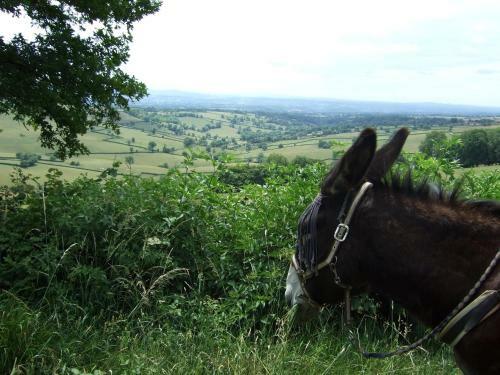 Bed & Breakfast Fen�tre Sur Loire