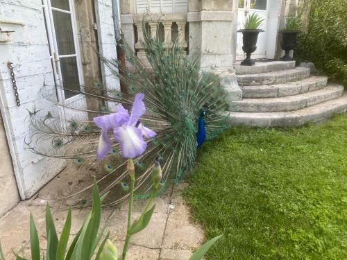 Bed & Breakfast Chateau De Vaugelas