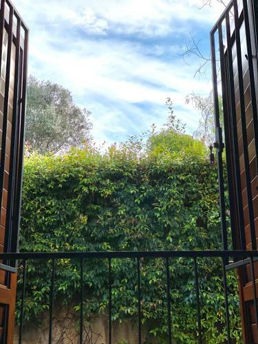 Cilento Ammare Villa And Rooms