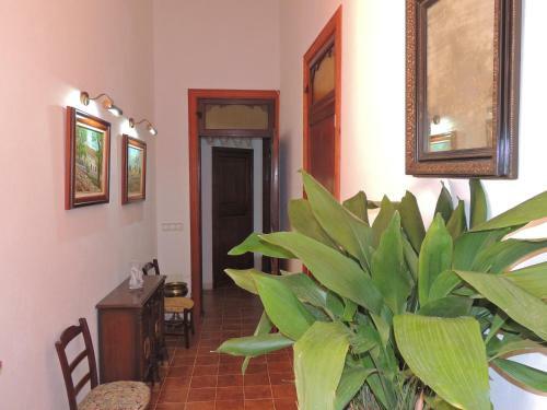 Encantadora Villa Para 9 Plus 3 Personas En Algaida
