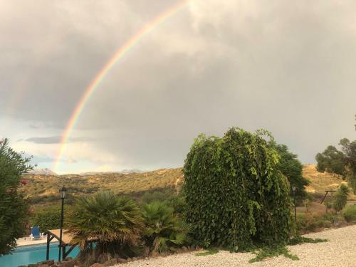 The Most Beautiful Cortijo Located In Andalucia