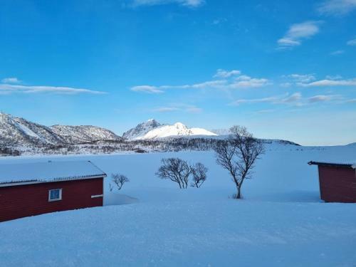 Apartamento T-r Huset I Hellosan