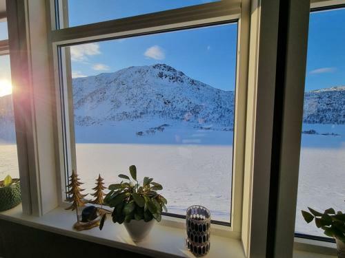 Apartamento T-r Huset I Hellosan