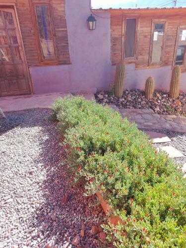 Agroturismo Caba�a R�stica