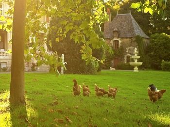 Bed & Breakfast Ch�teau Le Breil