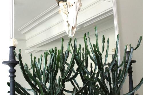 Bed & Breakfast Camellas-lloret