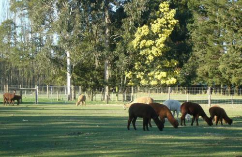 Miners Arms Farm Bed And Breakfast