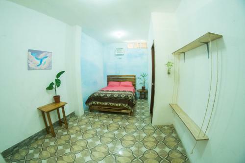 Bed & Breakfast Residencia Mamma Jungla