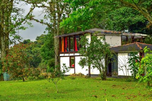Bed & Breakfast Finca Hotel Selva Roja