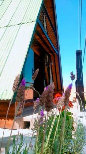 Chal� Do Vale - Exclusividade E Conforto!!
