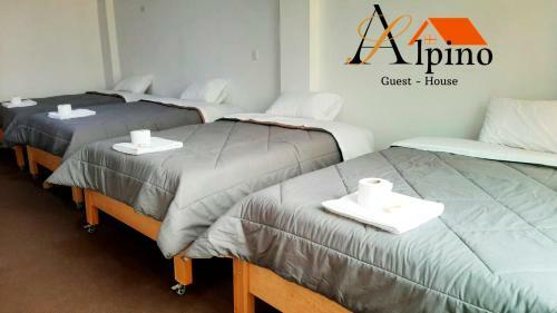 Hostal Alpino Guest House