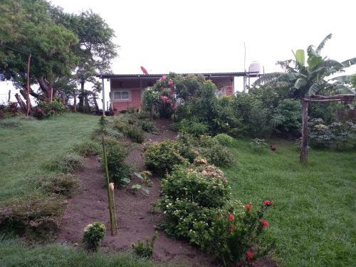 Hostal Casa Del Mirador