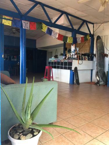 Salt Water Hostel