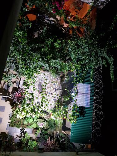 Hostal Who Art We Guest House