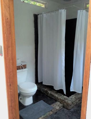 Bolita Rainforest Hostel And Cabinas