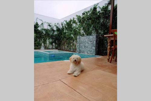 Villa Casa Privada En Balneario Con Piscina Temperada