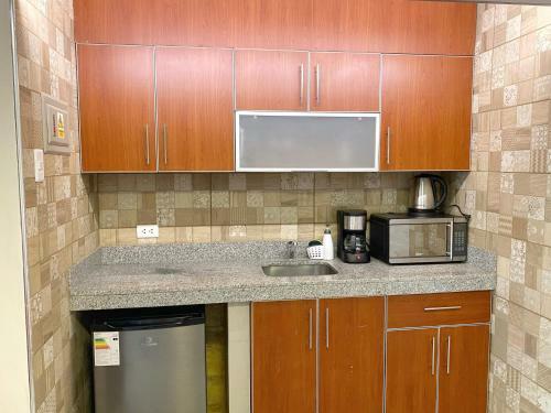 Apartamento Homey 1br In San Isidro