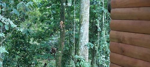 Arenal R�stic Lodge
