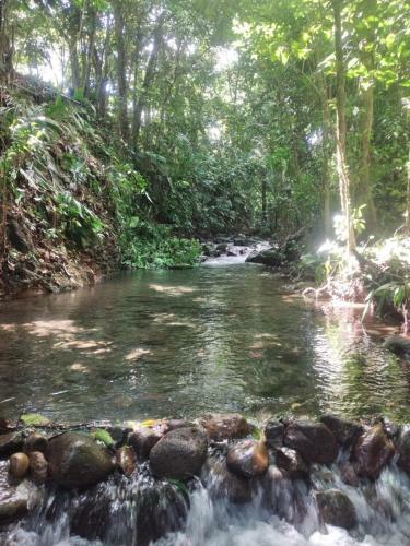 Lodge La Fortuna Natural Green