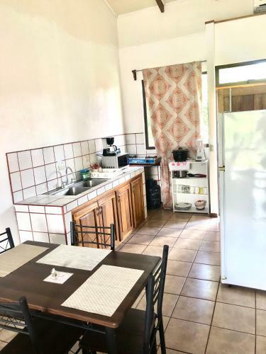 Apartamento Iguana Garden Downtown