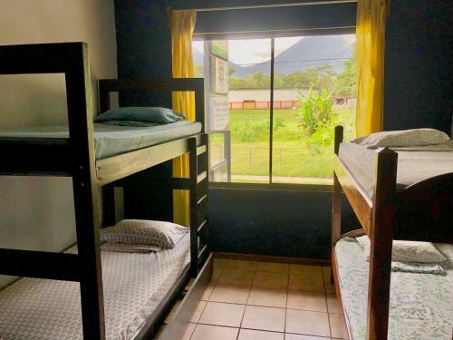 Apartamento Iguana Garden Downtown