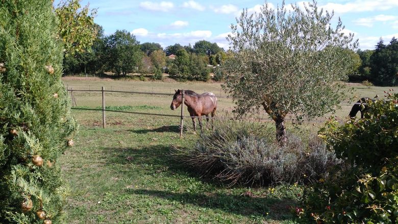 Bed & Breakfast La Rolandie Haute