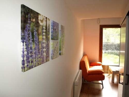 Apartamentos Ordesa Natura