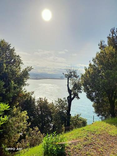 Villa D'albertis