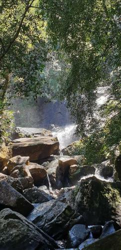 Rain Forest View Villas
