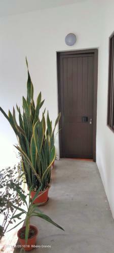 Apartamento Damontanha 2