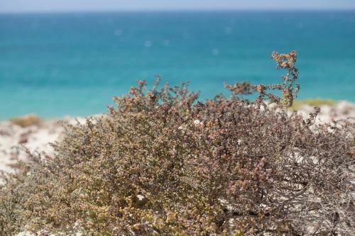 Apartamento Sol Y Mar
