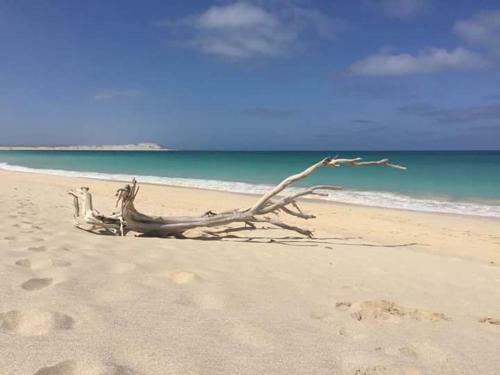 B&B Sereia Azul Boa Vista