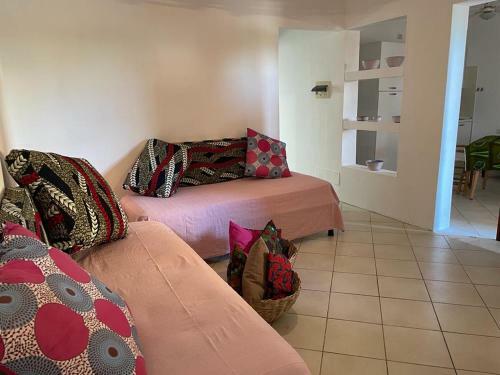 Apartamento Canicola The Palm House