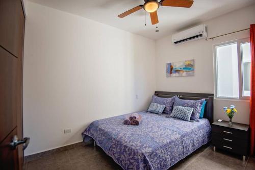 Apartamento Lapa Living Paradise E2