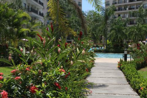 Apartamento Amaluc Zac