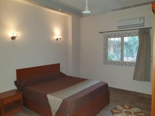 Deluxe Apartment 5