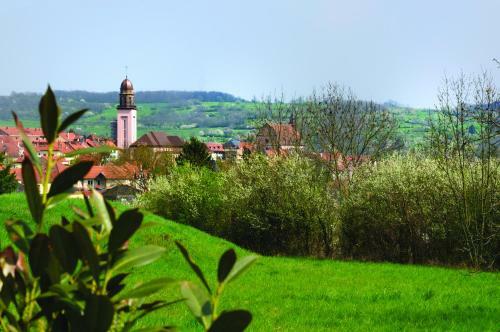 Aparthotel Le Relais De Wasselonne & Spa