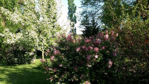 Bed & Breakfast Chambres D'h�tes La Ferme de Monseignon