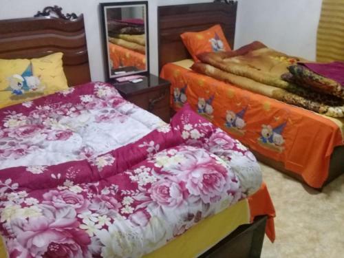 Apartamento Alexandria Princess