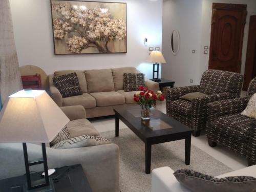 Modern Art Furnished Apartment